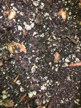 Load image into Gallery viewer, Apricot Tree Premium Potting Mix
