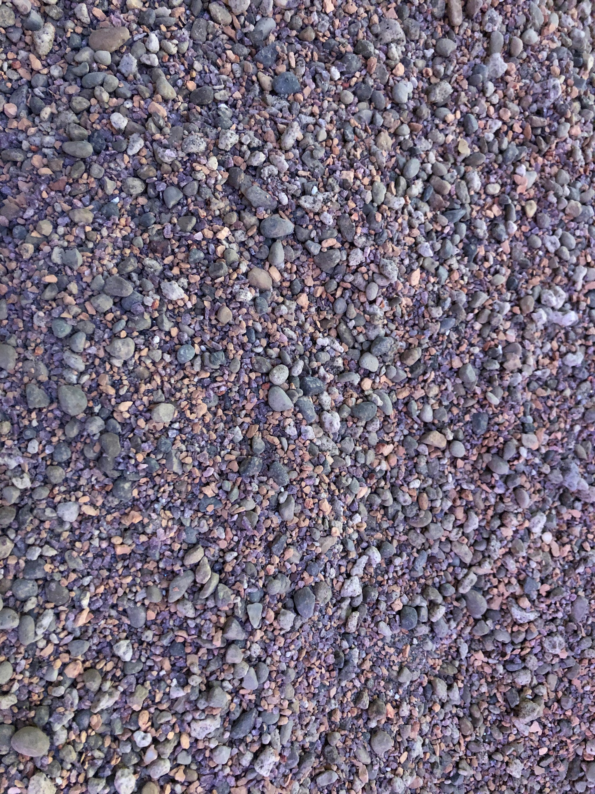 potting mix for lithops LITHOPS Living Stone Premium Potting Mix