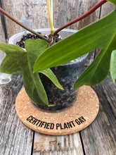 Load image into Gallery viewer, Certified Plant Gay Cork Plant Mat - Engraved Cork Round - Cork Bottom - No Plastic or Rubber - All Natural Material

