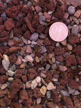 Load image into Gallery viewer, REGULAR GRITTY Cactus &amp; Succulent Premium Potting Mix
