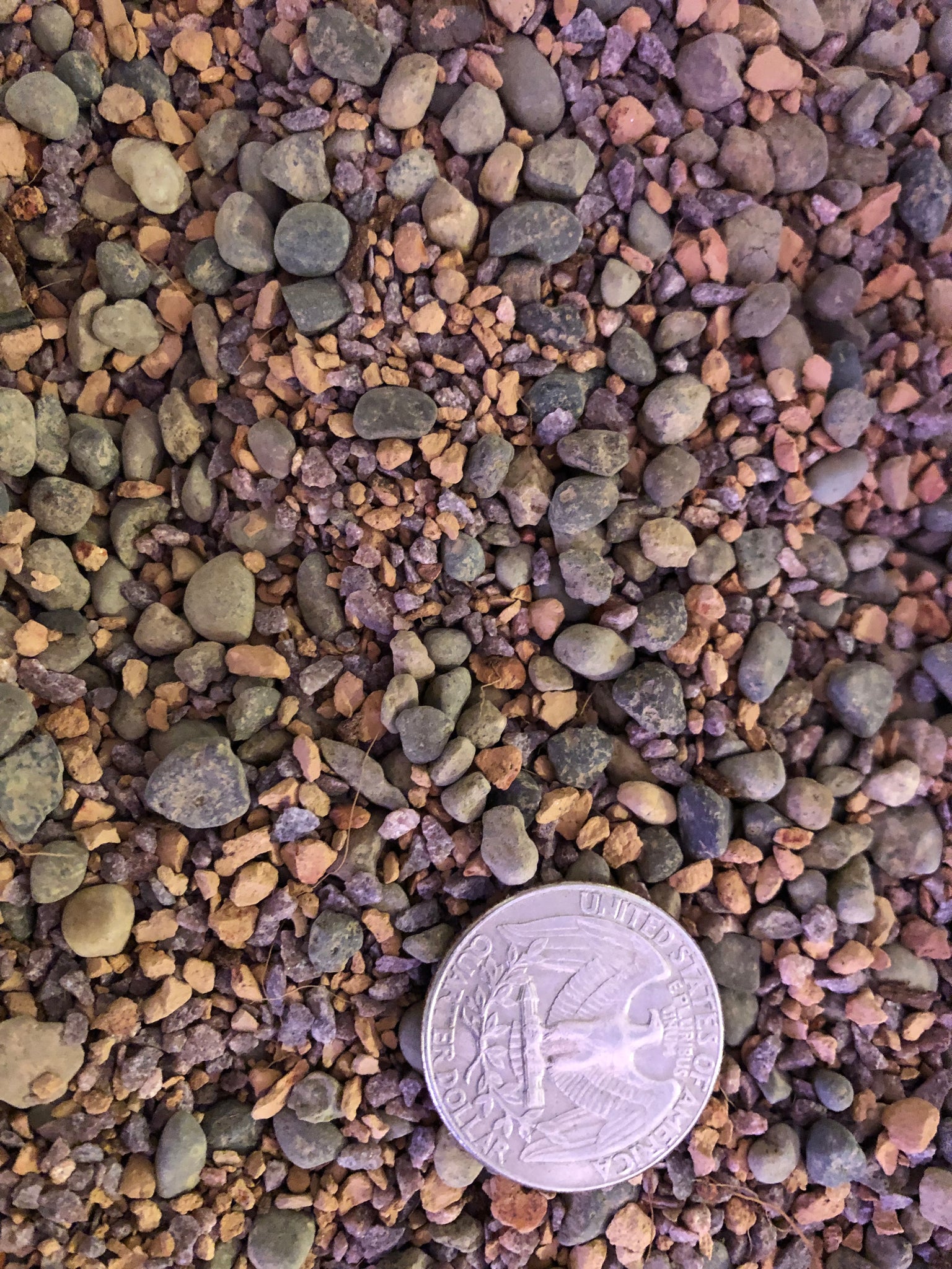 succulent gravel mix MINI GRIT Cactus & Succulent Premium Potting Mix