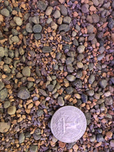 Load image into Gallery viewer, MINI GRIT Cactus &amp; Succulent Premium Potting Mix
