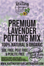 Load image into Gallery viewer, LAVENDER Premium Potting Mix

