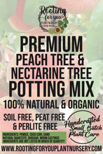 Load image into Gallery viewer, Peach and Nectarine Premium Potting Mix
