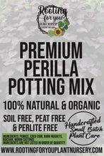 Load image into Gallery viewer, Perilla Premium Potting Mix
