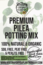 Load image into Gallery viewer, Pilea Premium Potting Mix
