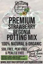 Load image into Gallery viewer, Strawberry Begonia Premium Potting Mix
