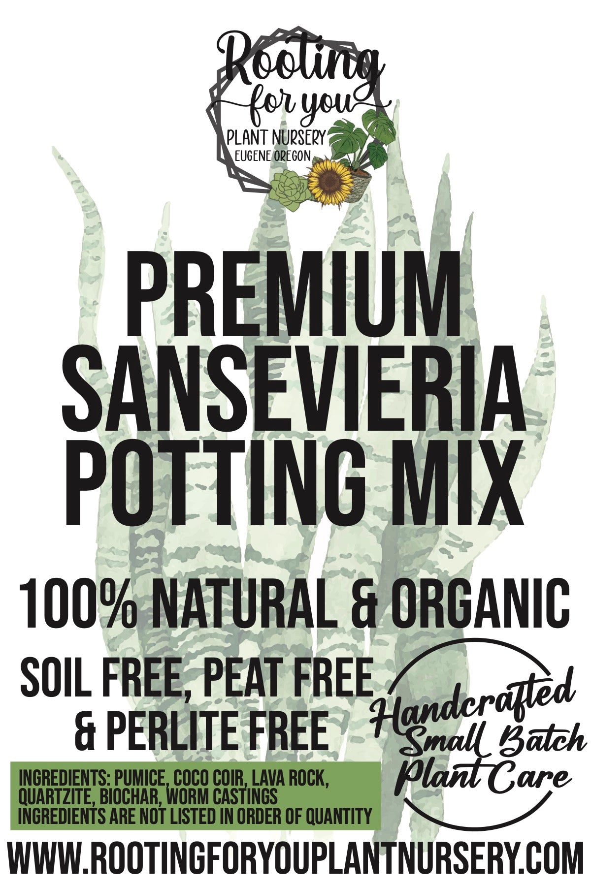 SANSEVIERIA Snake Plant Premium Potting Mix – Rooting For You Plant Nursery