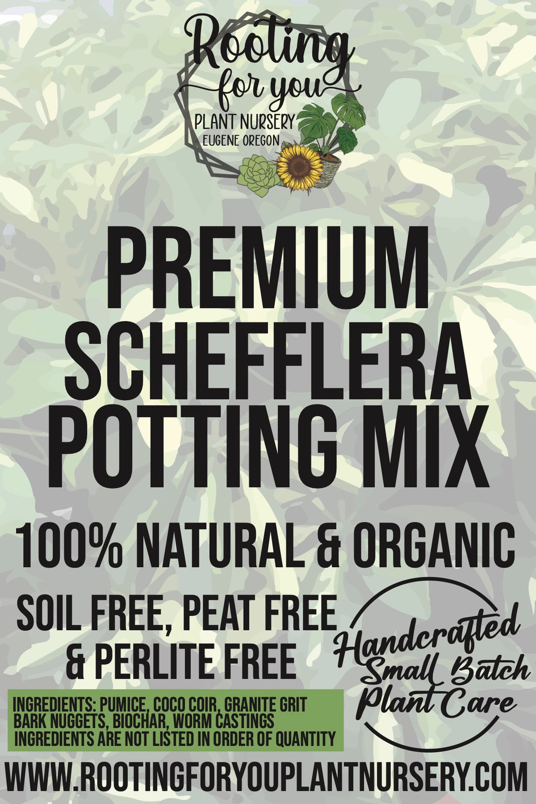 Schefflera Premium Potting Mix