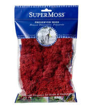 Load image into Gallery viewer, RED with GLITTER SuperMoss Moss Reindeer Preserved - Oregon Licensed Nursery
