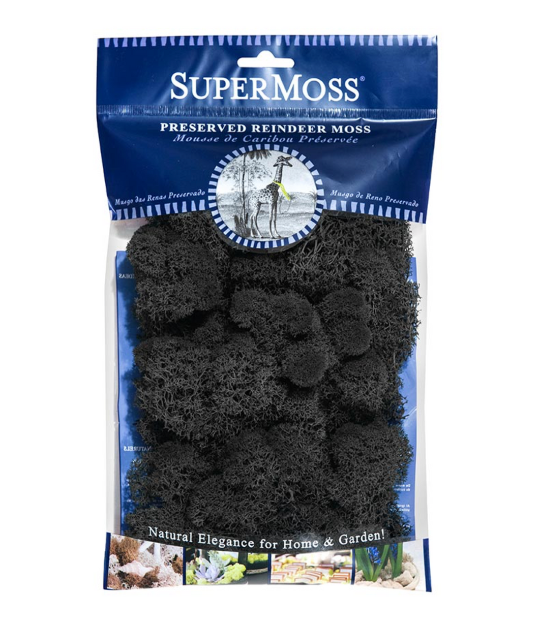 Black SuperMoss Moss Reindeer Preserved - Oregon Licensed Nursery