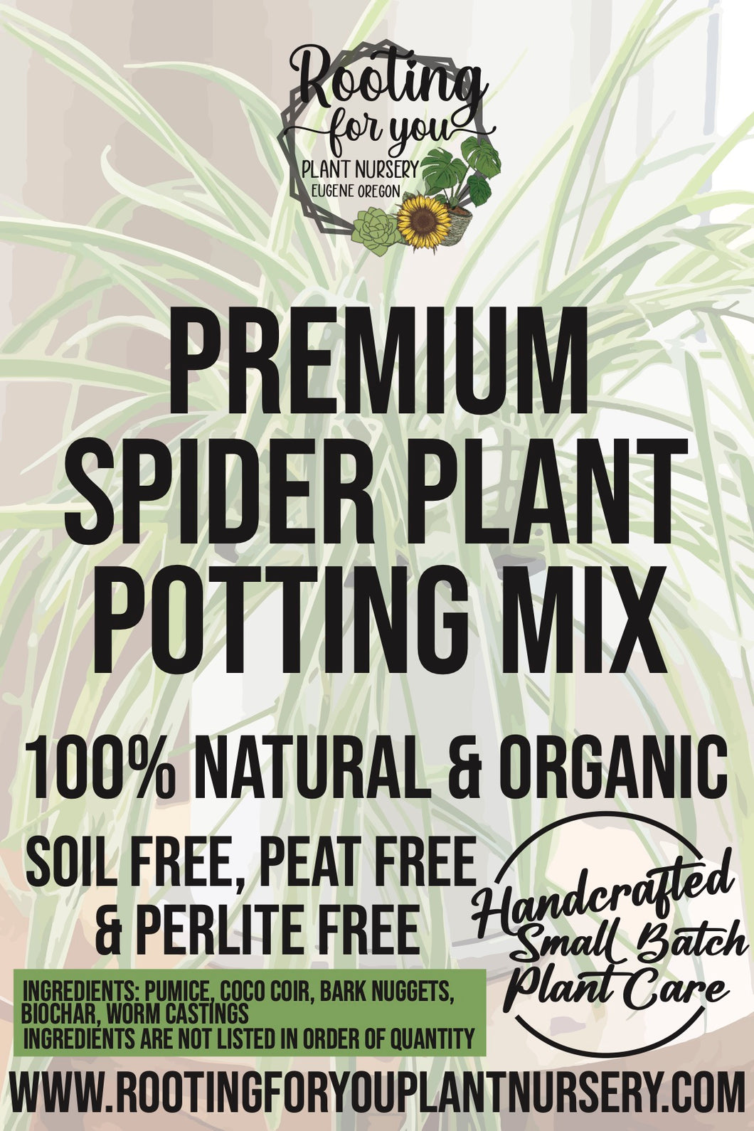 Spider Plant Premium Potting Mix