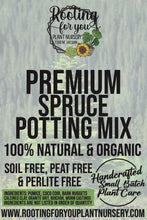 Load image into Gallery viewer, Spruce Premium Potting Mix

