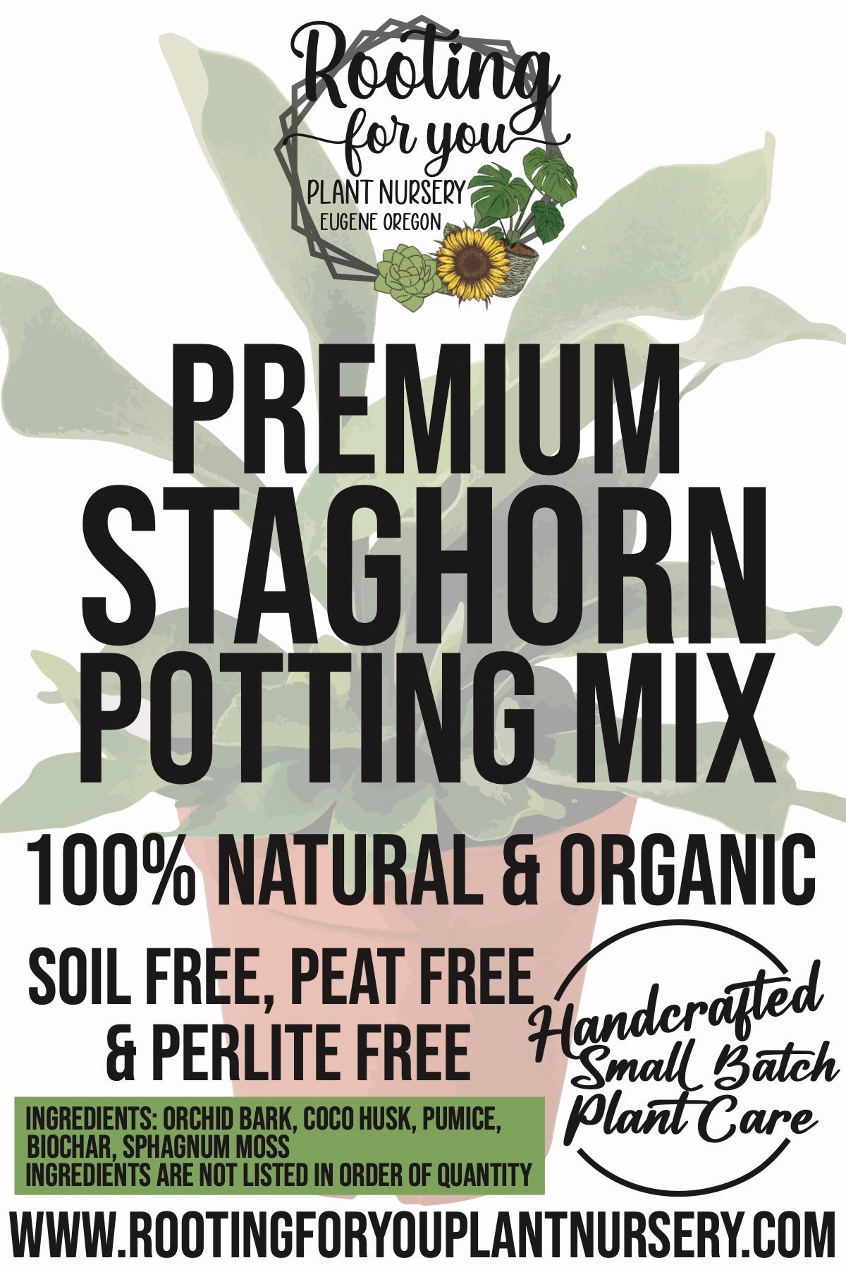 tree fern potting mix Staghorn Fern Premium Potting Mix – Rooting For You Plant Nursery