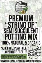 Load image into Gallery viewer, STRING OF SEMI SUCCULENT Premium Potting Mix
