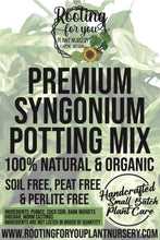 Load image into Gallery viewer, SYNGONIUM Premium Potting Mix
