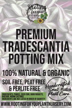 Load image into Gallery viewer, Tradescantia Premium Potting Mix
