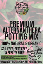 Load image into Gallery viewer, Party Time Alternanthera Premium Potting Mix
