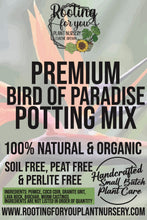 Load image into Gallery viewer, Bird of Paradise Premium Potting Mix
