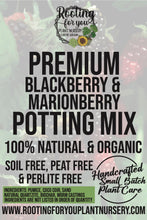 Load image into Gallery viewer, Blackberry / Marionberry Premium Potting Mix
