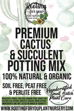 Load image into Gallery viewer, CACTUS &amp; SUCCULENT Premium Potting Mix
