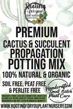 Load image into Gallery viewer, CACTUS &amp; SUCCULENT Propagation Premium Potting Mix
