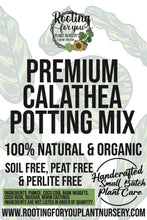 Load image into Gallery viewer, CALATHEA Premium Potting Mix
