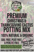 Load image into Gallery viewer, Christmas &amp; Thanksgiving Cactus Premium Potting Mix
