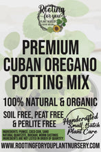 Load image into Gallery viewer, Cuban Oregano Premium Potting Mix
