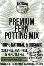 Load image into Gallery viewer, FERN Premium Potting Mix
