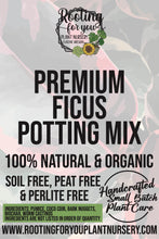 Load image into Gallery viewer, Ficus Premium Potting Mix
