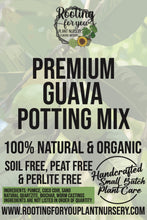 Load image into Gallery viewer, Guava Premium Potting Mix
