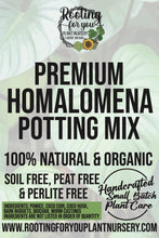 Load image into Gallery viewer, Homalomena Premium Potting Mix
