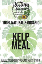 Load image into Gallery viewer, Kelp Meal Soil Amendment 8oz Volume Resealable Bags Organic - Oregon Licensed Nursery - Measured in 8oz Volume 6x9x3 Bag
