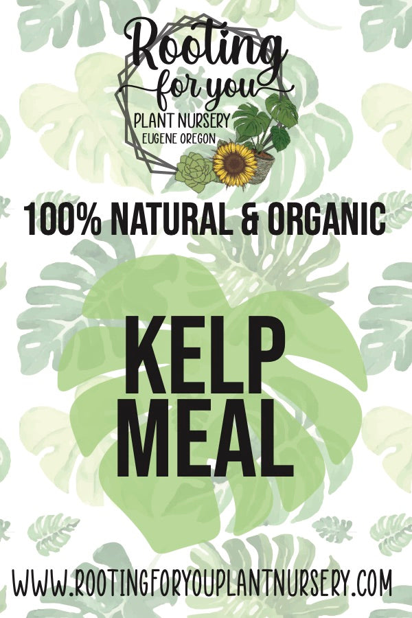 Kelp Meal Soil Amendment 8oz Volume Resealable Bags Organic - Oregon Licensed Nursery - Measured in 8oz Volume 6x9x3 Bag