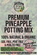 Load image into Gallery viewer, Pineapple Premium Potting Mix
